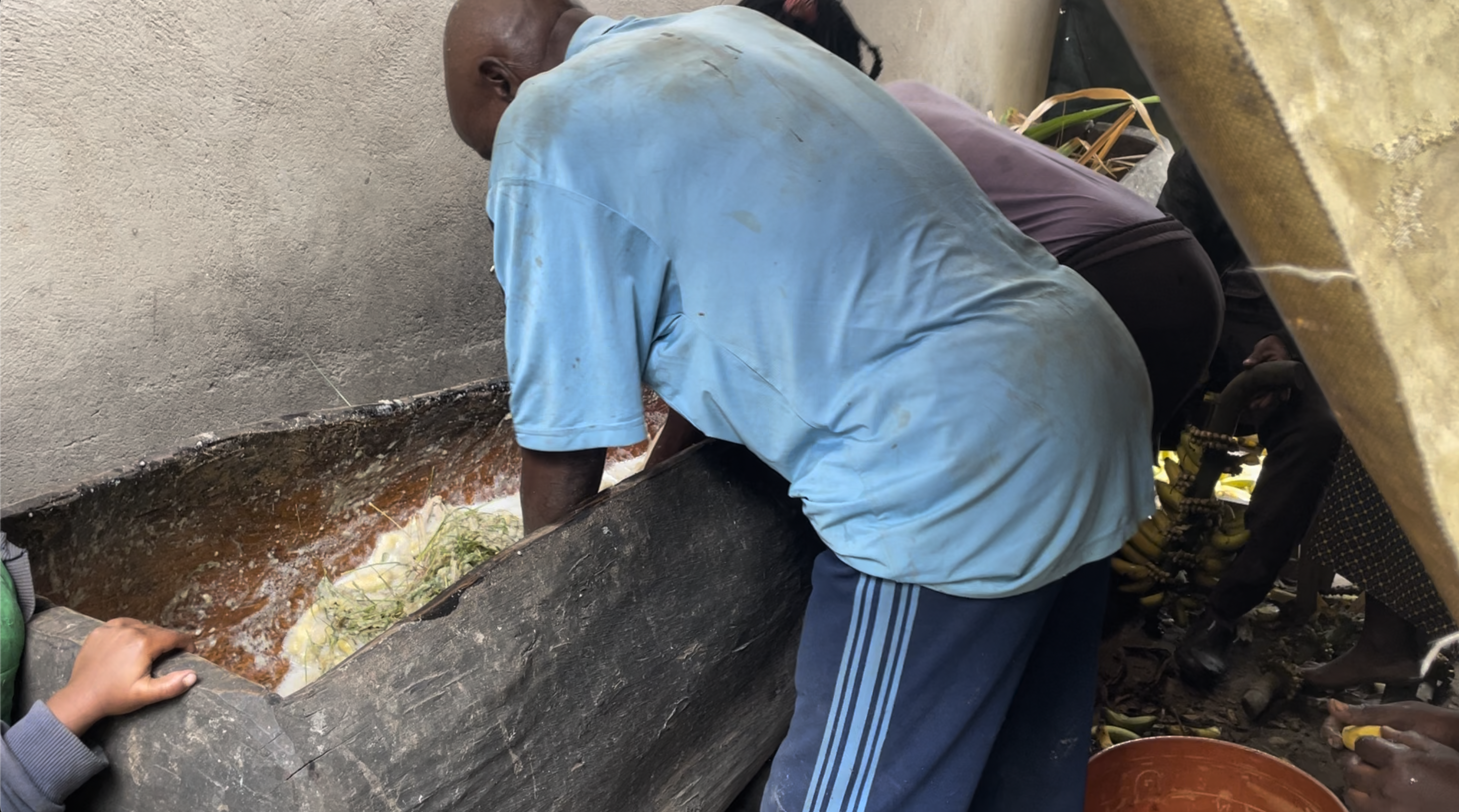 Traditional banana beer making